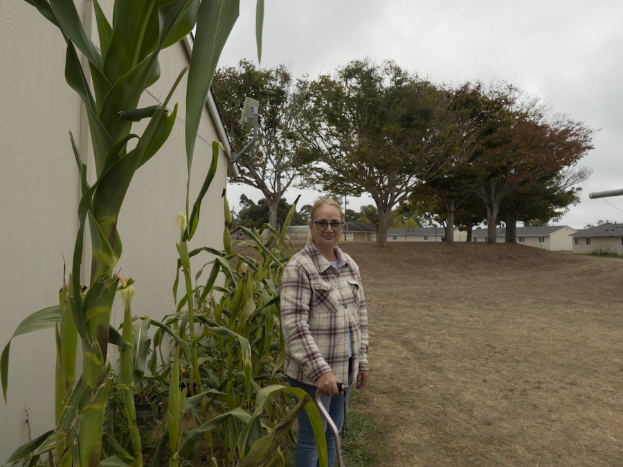 Aracely con su milpa