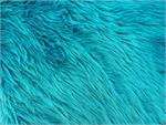 Turquoise Shaggy