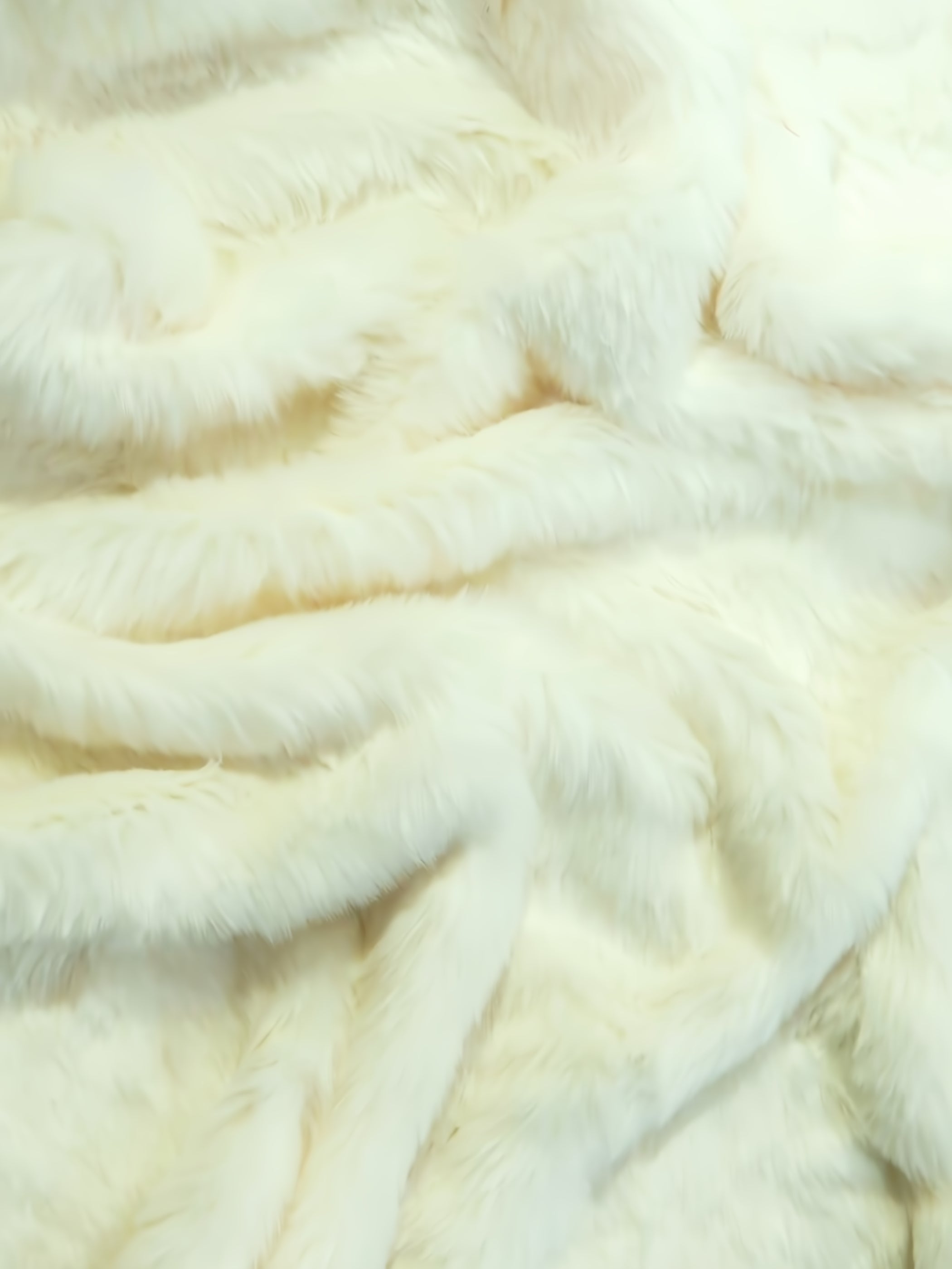 Ivory Short Shag