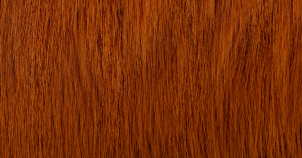 Rust Luxury Fox