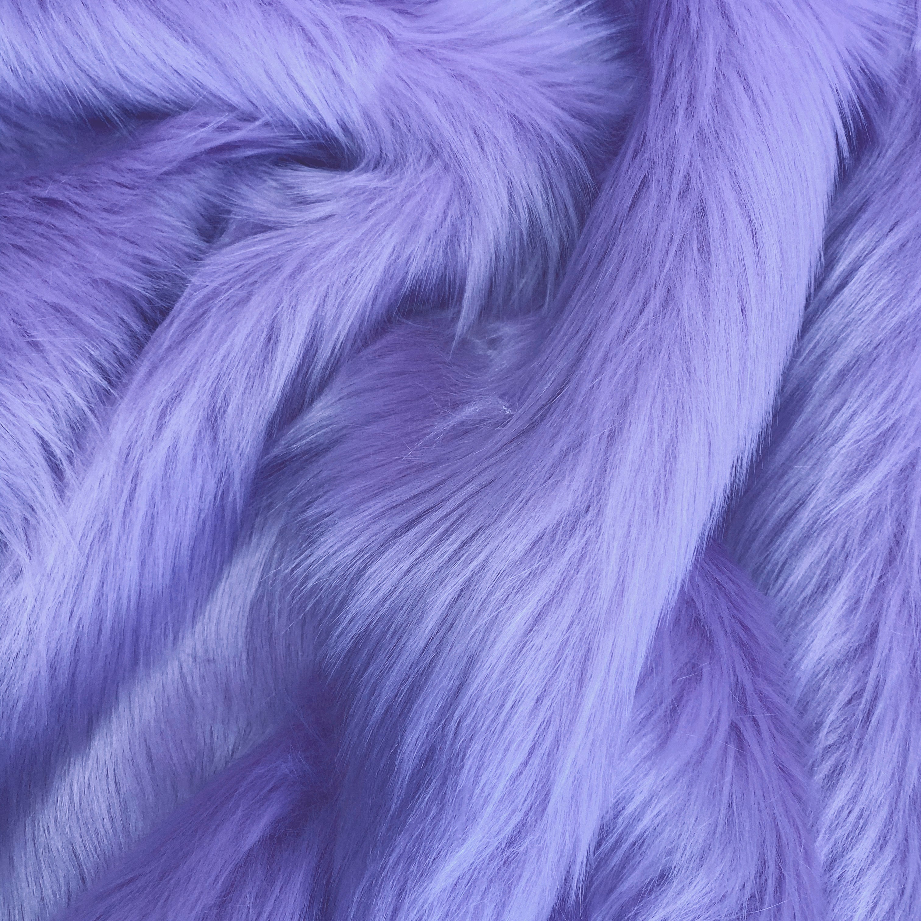 Zulu Lavender