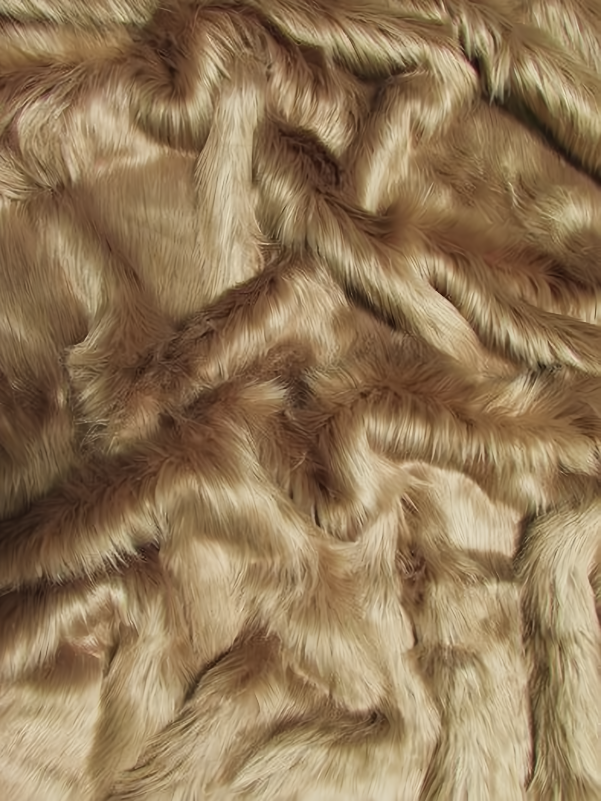 Cocoa Shaggy