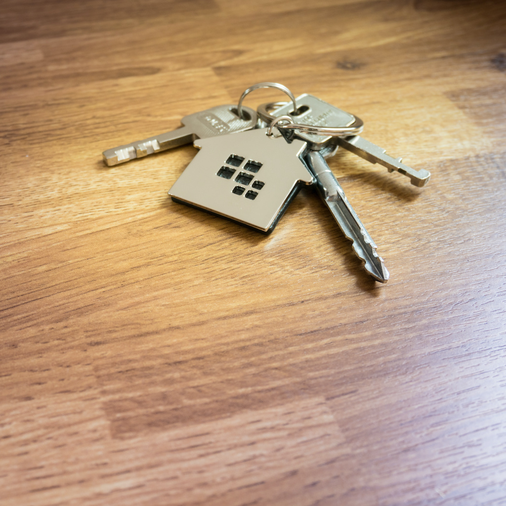 About Us Stats 2.jpeg