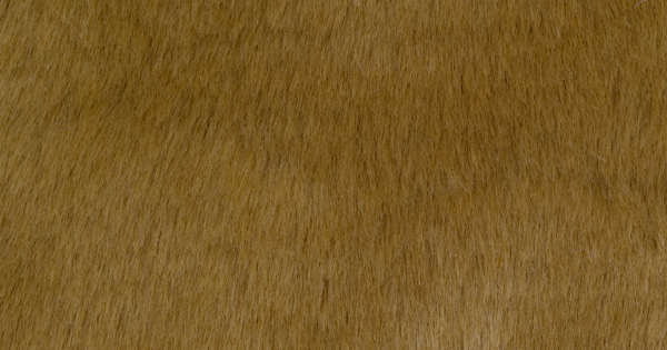Caramel Beaver/Seal