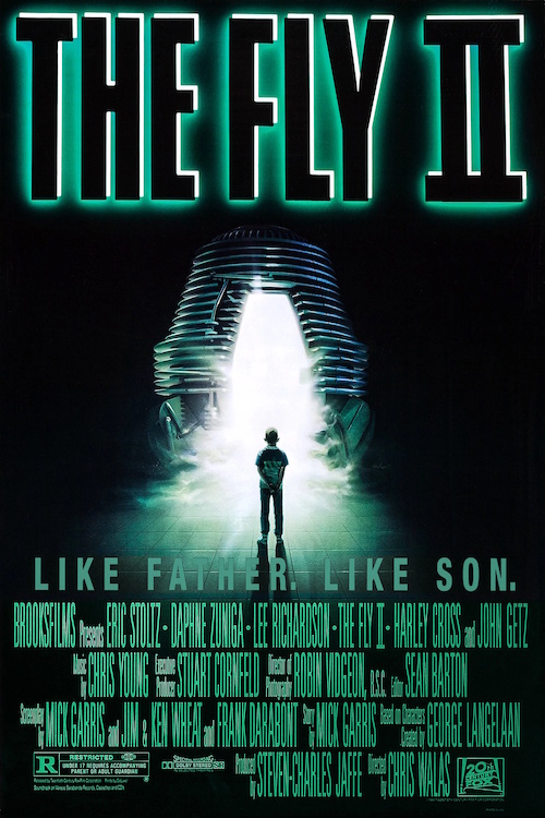 TheFly2.jpg