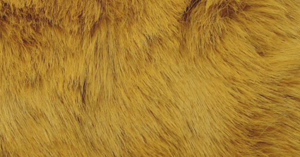 Amber Bunny Shag