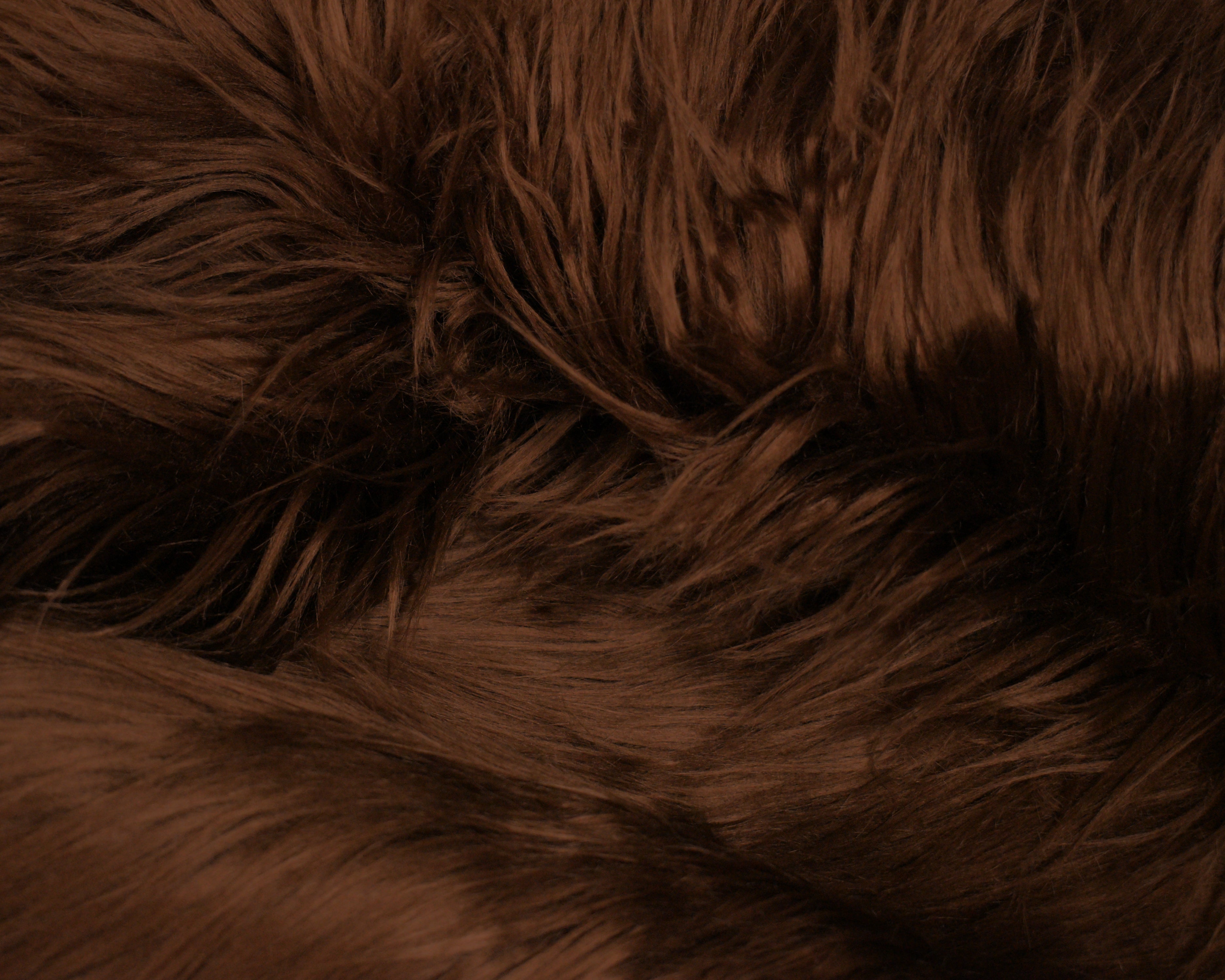 Chocolate Brown