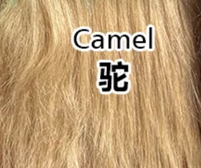 Camel 驼色