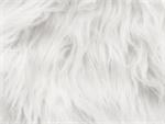 White Gorilla