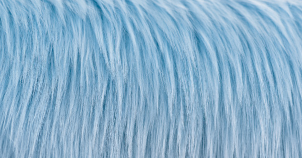 Baby Blue Luxury Shag
