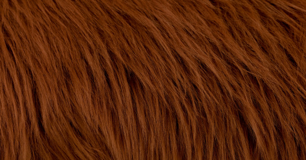 Brown Bear Luxury Shag