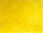 Yellow Shaggy