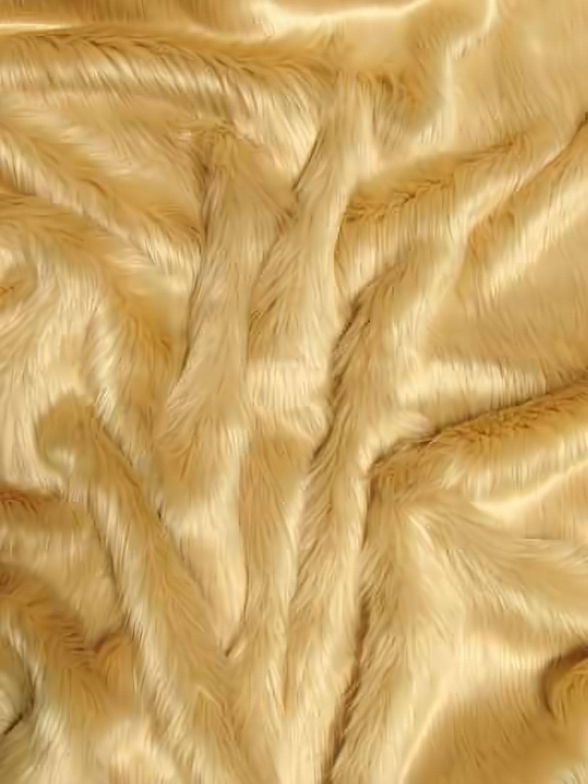 Blonde Shaggy
