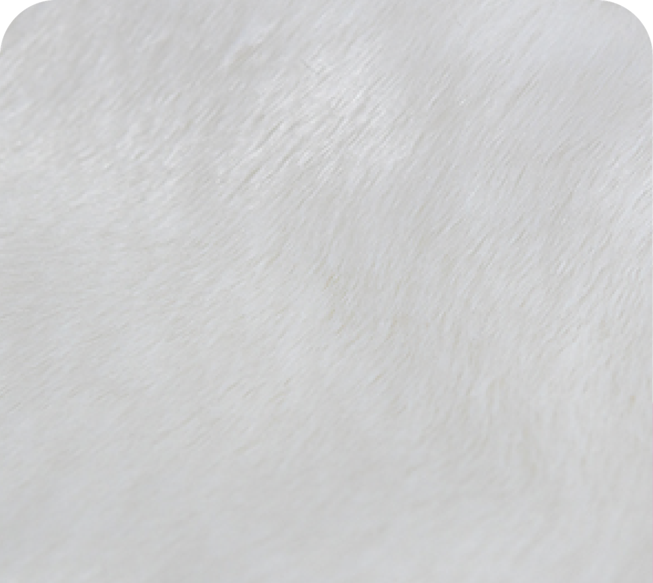 Bleach White