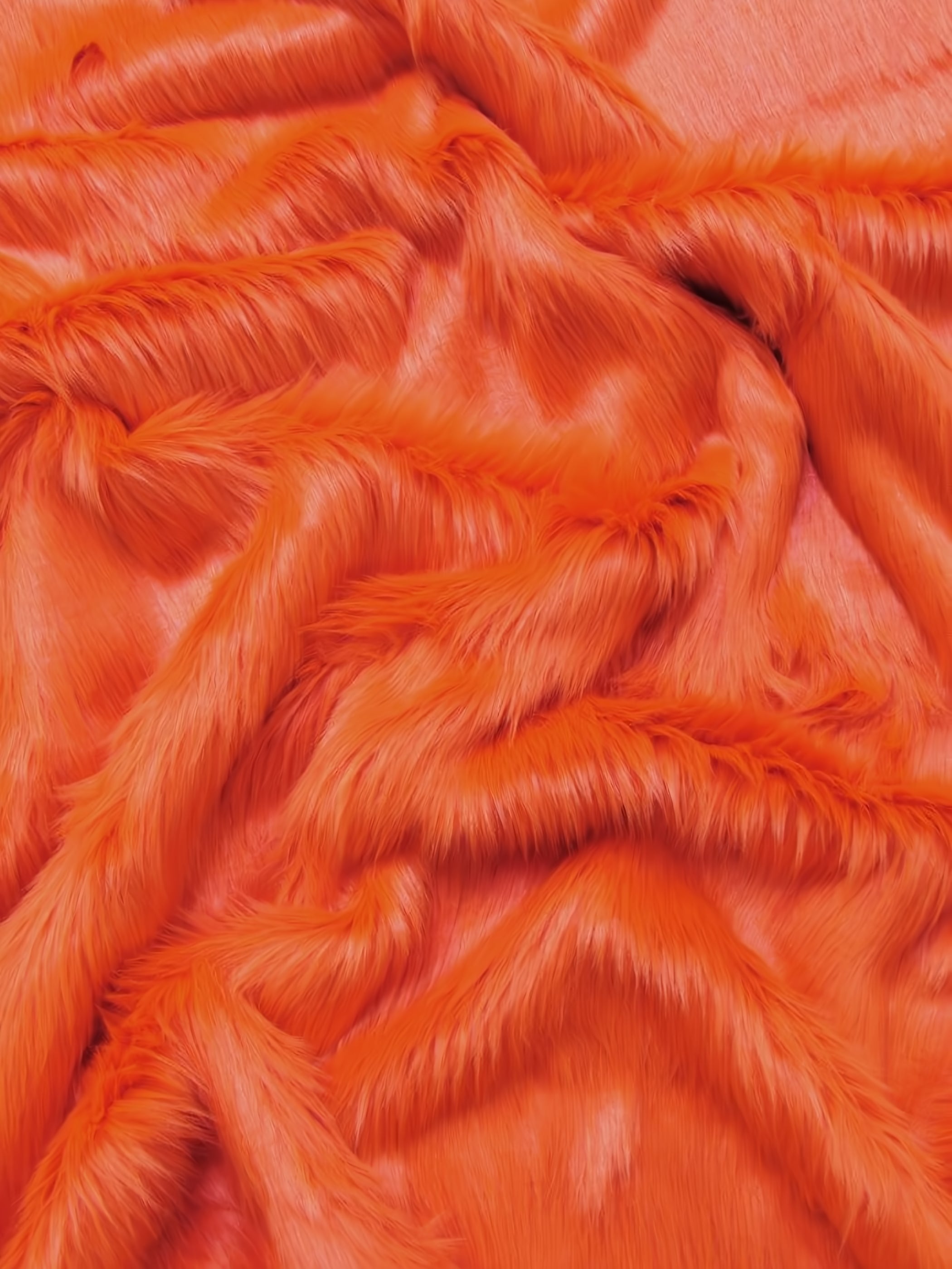 Tangerine Shaggy