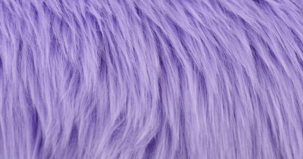 Lavender Luxury Shag