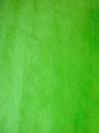 Lime Short Pile