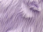 Lilac Shaggy