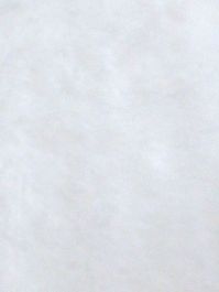 White Short Pile