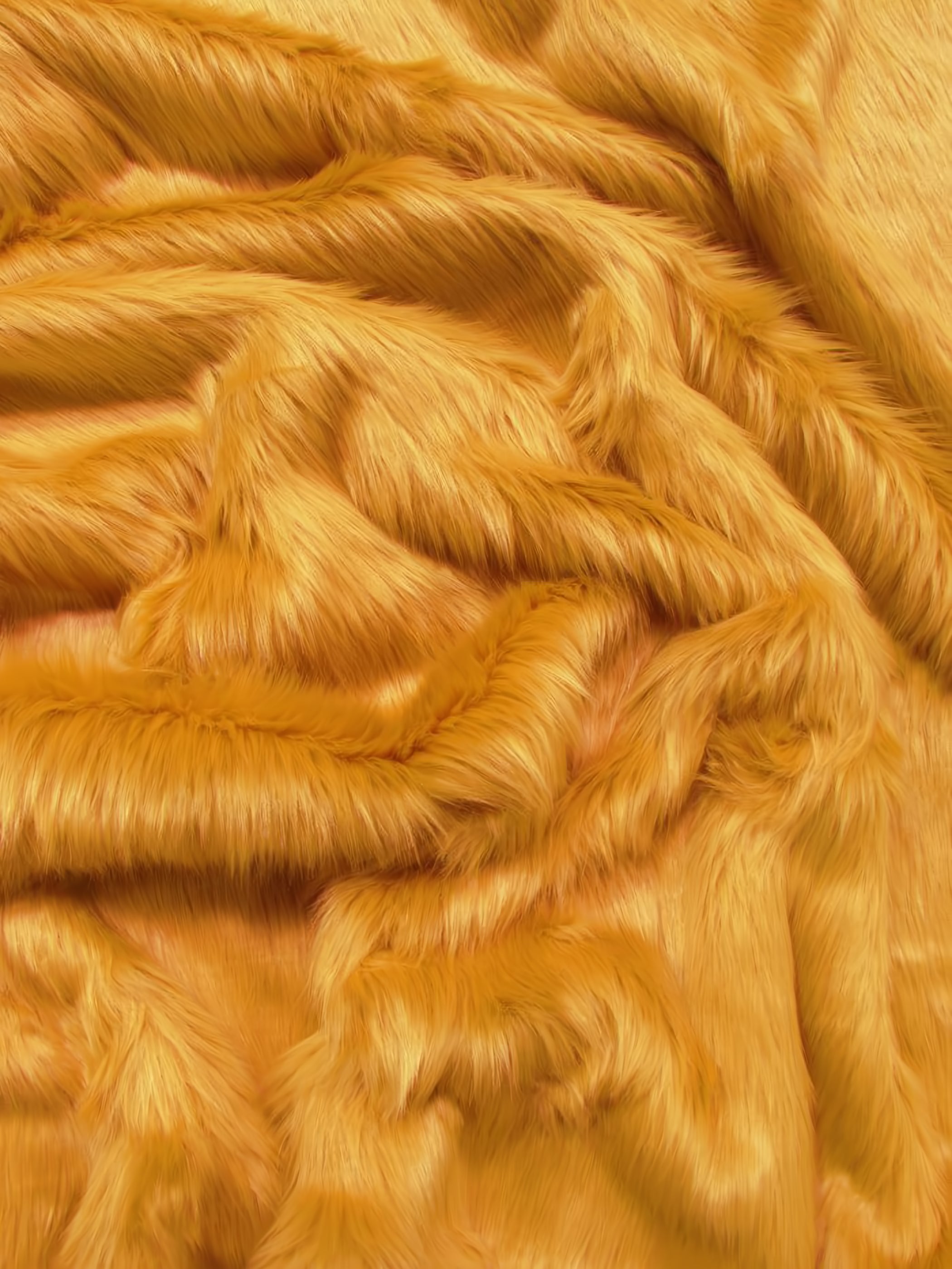 Gold Shaggy Long