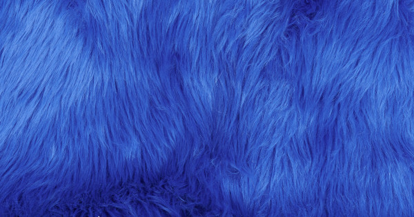 Royal Blue Luxury Shag