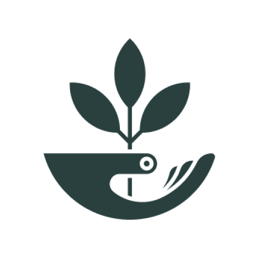 Scatter App