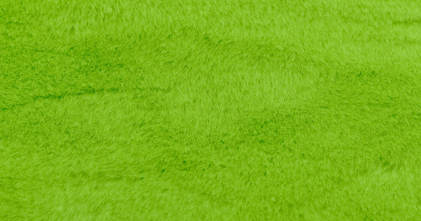 Lime Green Beaver/Seal