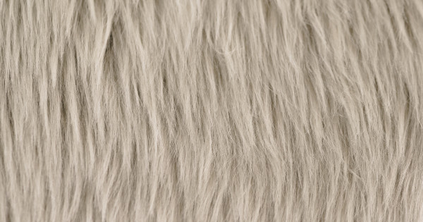 Light Silver Luxury Shag