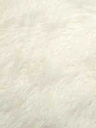White Curly Mongolian