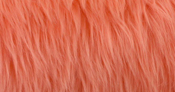 Coral Pink Luxury Shag