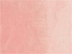 Pink Beaver