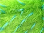 Lime Turquoise