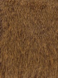 Grizzly Teddy Bear