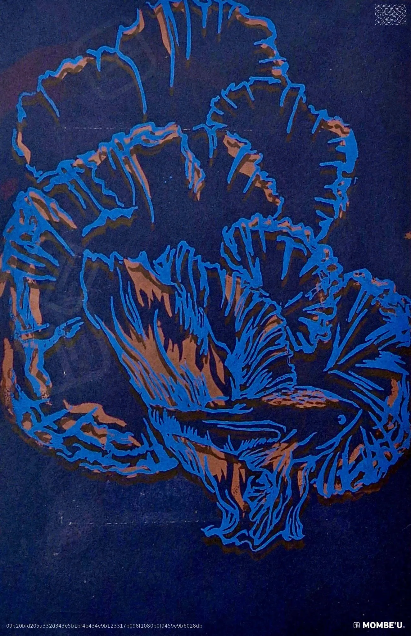 S/T