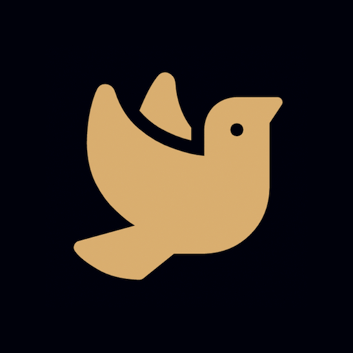 3-16 App