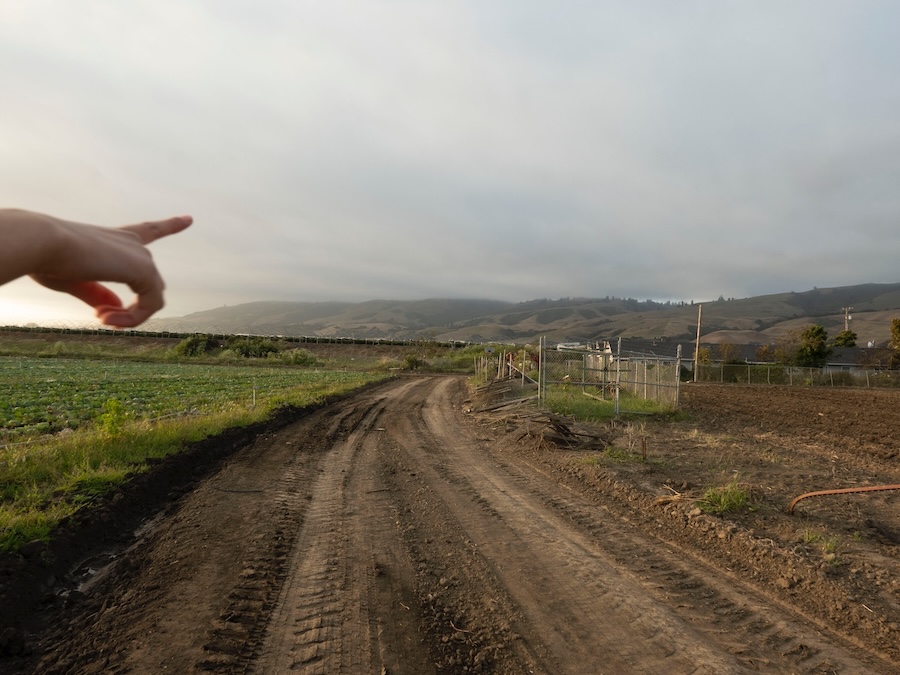 Campo entre los campos