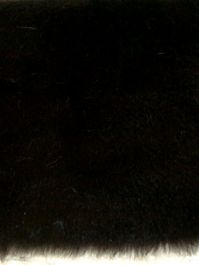 Black Short Pile