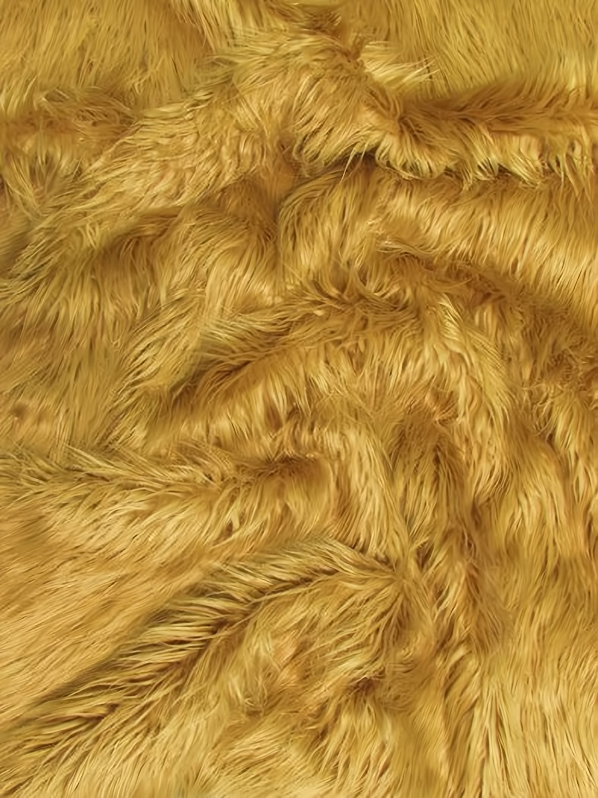 Camel Mongolian