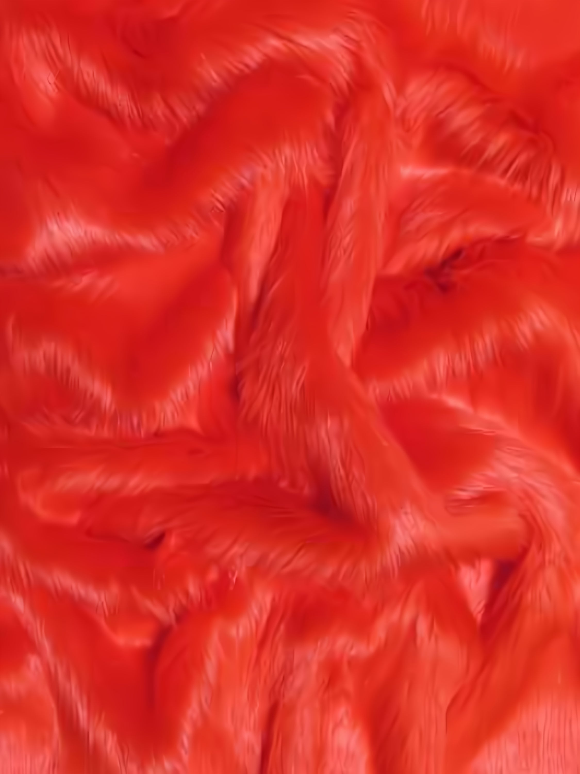 Fire Red Shaggy