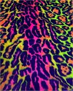 Violet, Orange, Green, Yellow, Fuschia