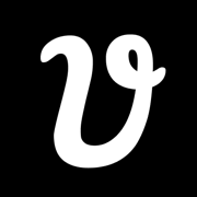 VizStudio logo