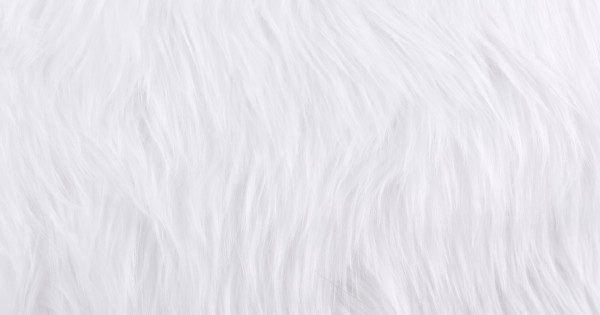 White Luxury Shag