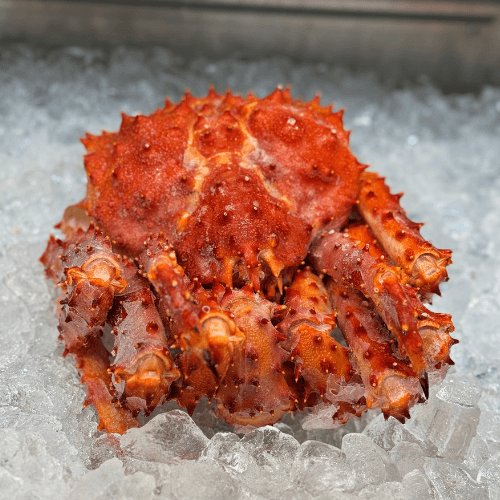King Crab - Centolla