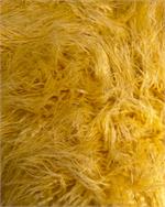 Yellow Curly Yak