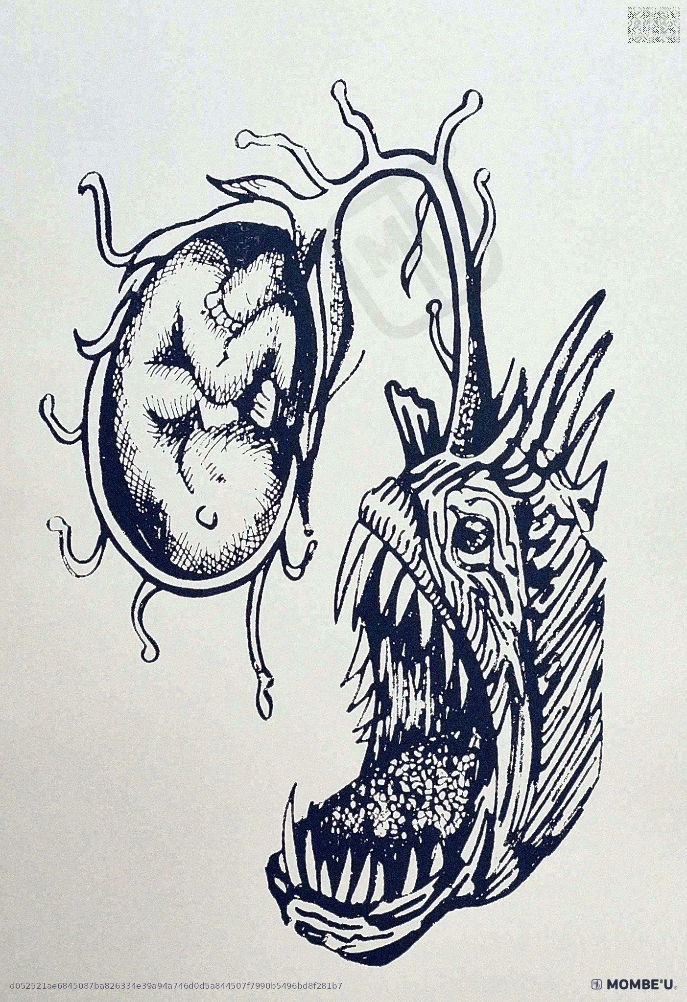 Nueva Luz
