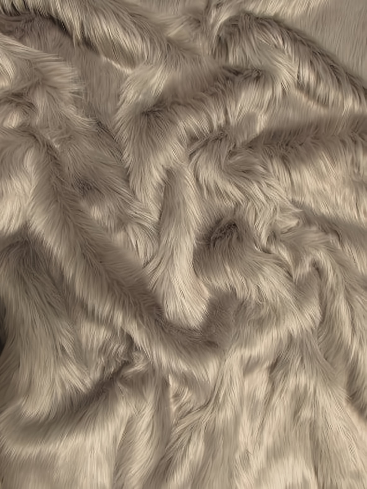 Oyster Shaggy