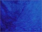 Royal Blue Shaggy