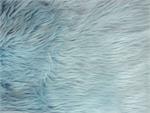Light Blue Shaggy