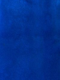 Blue Plush