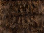 Brown Monkey